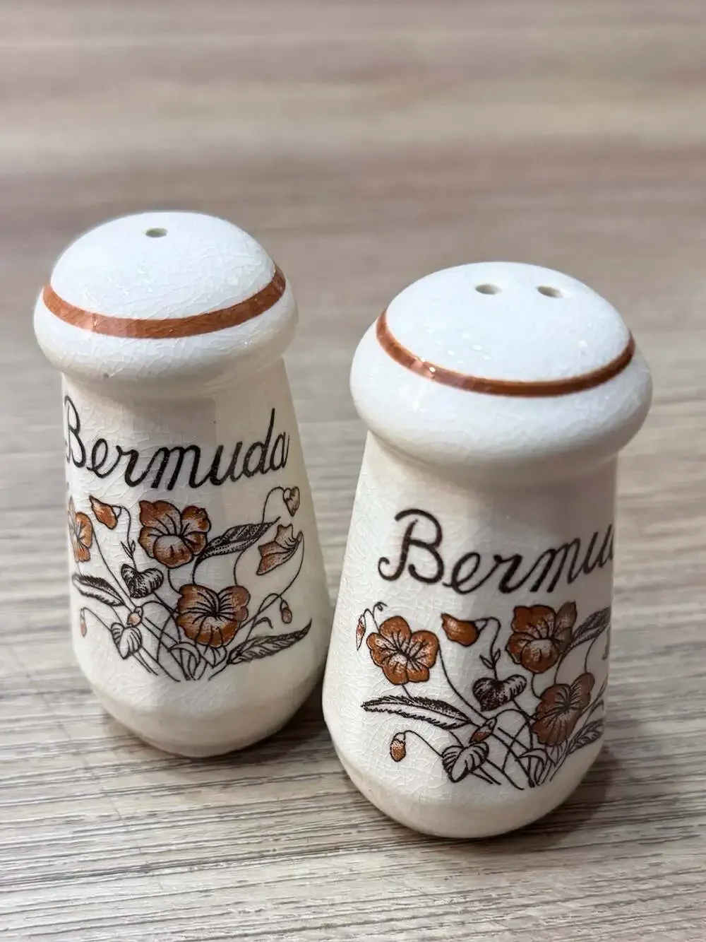 Vintage Bermuda Souvenir Ceramic Floral Salt and Pepper Shakers Set